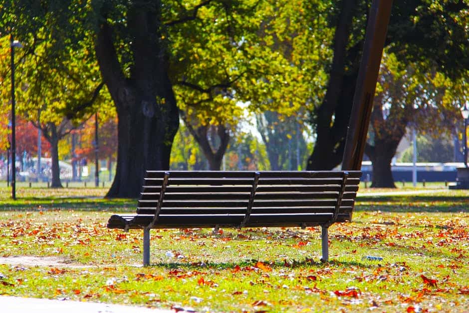 Bench under the sunlight in a park